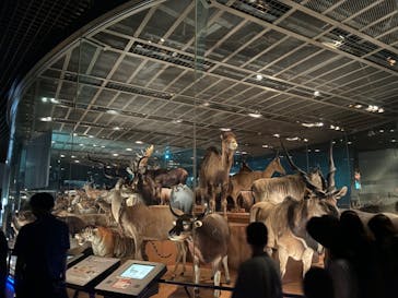 国立科学博物館に投稿された画像（2024/8/14）