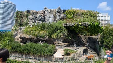 サンシャイン水族館に投稿された画像（2024/8/14）