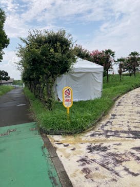 しらこばと水上公園（埼玉県公園緑地協会）に投稿された画像（2024/8/14）