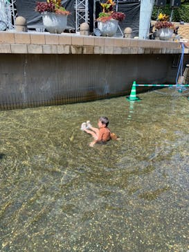 安城産業文化公園デンパークに投稿された画像（2024/8/14）