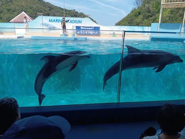 下田海中水族館に投稿された画像（2024/8/14）