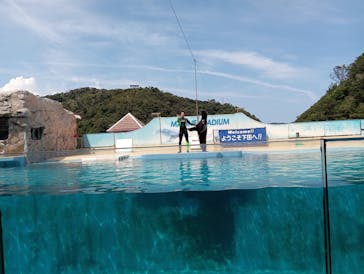 下田海中水族館に投稿された画像（2024/8/14）