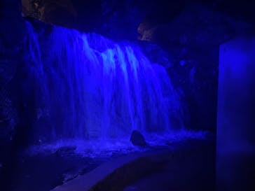 地底王国「美川ムーバレー」に投稿された画像（2024/8/14）