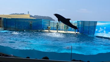 新江ノ島水族館に投稿された画像（2024/8/14）