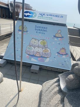 アクアワールド茨城県大洗水族館に投稿された画像（2024/8/14）