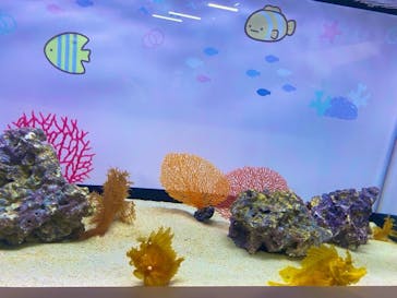 アクアワールド茨城県大洗水族館に投稿された画像（2024/8/14）