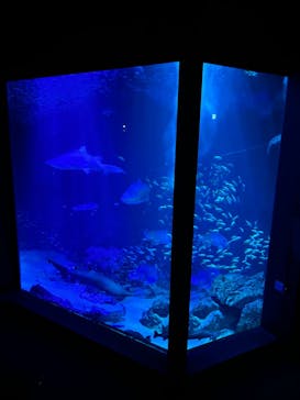 マリンワールド海の中道に投稿された画像（2024/8/14）