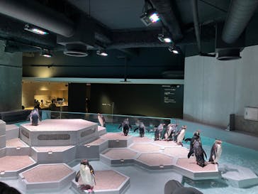 AOAO SAPPOROに投稿された画像（2024/8/14）