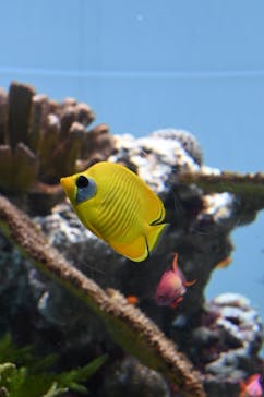 葛西臨海水族園に投稿された画像（2024/8/14）