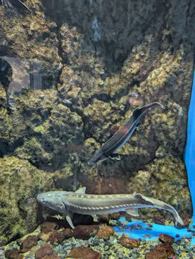 仙台うみの杜水族館に投稿された画像（2024/8/14）