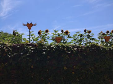 志摩スペイン村パルケエスパーニャに投稿された画像（2024/8/14）