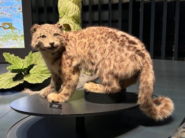 国立科学博物館に投稿された画像（2024/8/14）