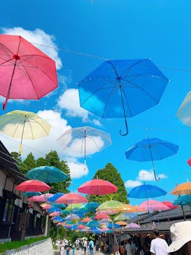 加賀 伝統工芸村　ゆのくにの森に投稿された画像（2024/8/14）