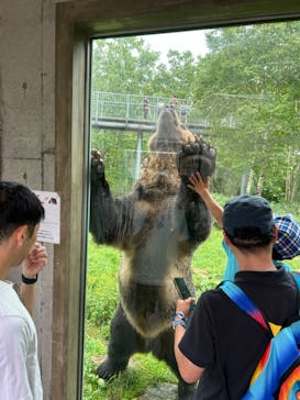 サホロリゾート　ベア･マウンテンに投稿された画像（2024/8/14）