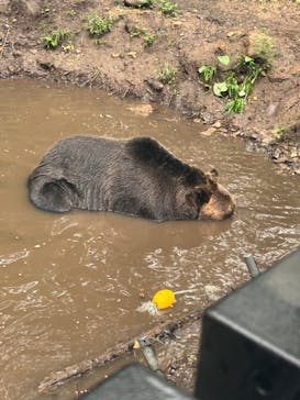サホロリゾート　ベア･マウンテンに投稿された画像（2024/8/14）