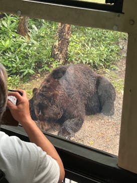 サホロリゾート　ベア･マウンテンに投稿された画像（2024/8/14）