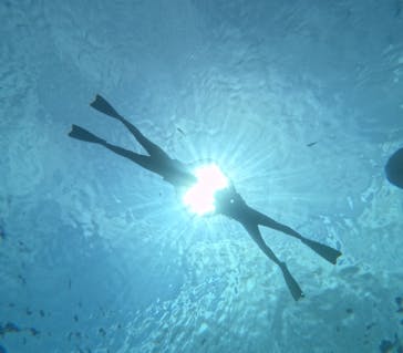 Simple marine service（シンプルマリンサービス）に投稿された画像（2024/8/14）