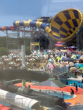 芝政ワールドに投稿された画像（2024/8/14）