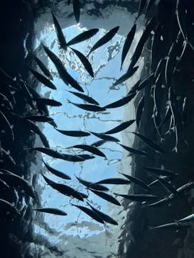 マクセル アクアパーク品川に投稿された画像（2024/8/14）