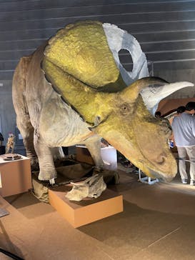 巨大恐竜展2024に投稿された画像（2024/8/14）