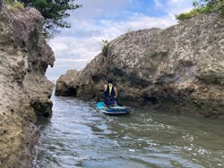 SEA GARDEN（シー　ガーデン）に投稿された画像（2024/8/11）