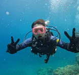 武藤潜水に投稿された画像（2024/8/14）