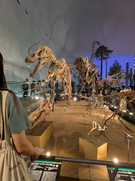 福井県立恐竜博物館に投稿された画像（2024/8/14）