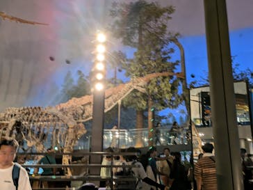 福井県立恐竜博物館に投稿された画像（2024/8/14）