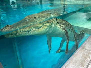 NIFREL（ニフレル）に投稿された画像（2024/8/14）