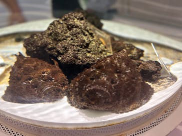 NIFREL（ニフレル）に投稿された画像（2024/8/14）