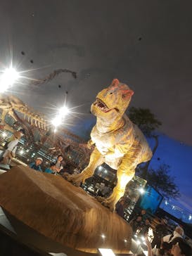 福井県立恐竜博物館に投稿された画像（2024/8/14）