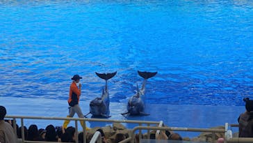 名古屋港水族館に投稿された画像（2024/8/14）