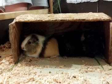 伊豆シャボテン動物公園に投稿された画像（2024/8/14）