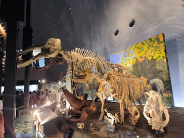 福井県立恐竜博物館に投稿された画像（2024/8/14）