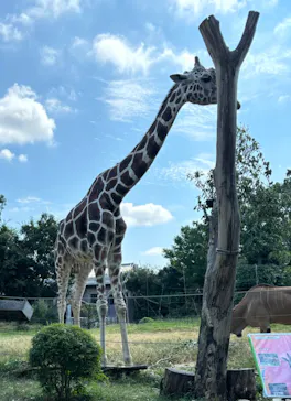 天王寺動物園に投稿された画像（2024/8/14）