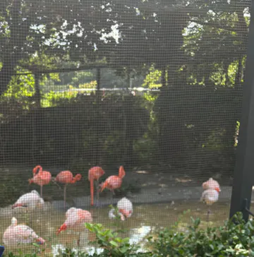 天王寺動物園に投稿された画像（2024/8/14）