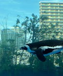 サンシャイン水族館に投稿された画像（2024/8/14）