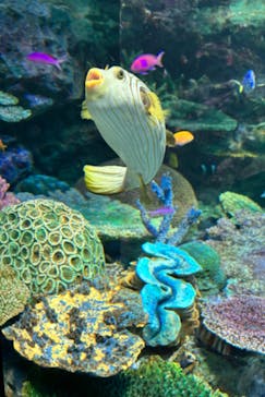 サンシャイン水族館に投稿された画像（2024/8/14）