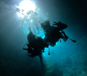 青の洞窟専門店　沖縄ダイビングショップ和に投稿された画像（2024/8/14）