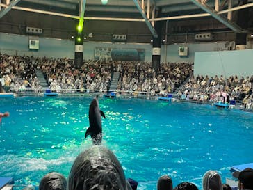 マクセル アクアパーク品川に投稿された画像（2024/8/14）