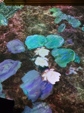 モネ＆フレンズ・アライブに投稿された画像（2024/8/14）