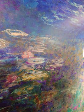 モネ＆フレンズ・アライブに投稿された画像（2024/8/14）