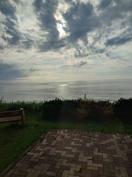 モネ＆フレンズ・アライブに投稿された画像（2024/8/14）