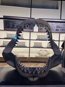 アクアワールド茨城県大洗水族館に投稿された画像（2024/8/14）