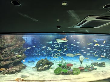 サンシャイン水族館に投稿された画像（2024/8/14）