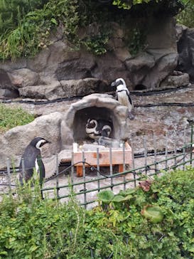 サンシャイン水族館に投稿された画像（2024/8/14）