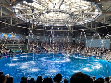 マクセル アクアパーク品川に投稿された画像（2024/8/14）