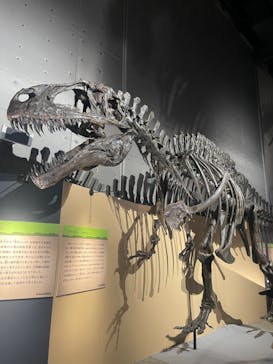 福井県立恐竜博物館に投稿された画像（2024/8/14）