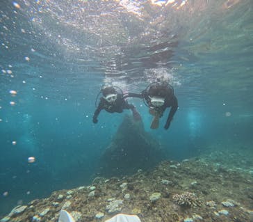 沖縄マリンサービス碧に投稿された画像（2024/8/14）