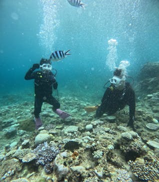 沖縄マリンサービス碧に投稿された画像（2024/8/14）